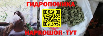 СК Изобильный