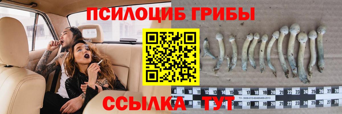Ликино-Дулёво  даркнет сайт  Вход с VPN  Псилоцибиновые грибы Magic Shrooms 